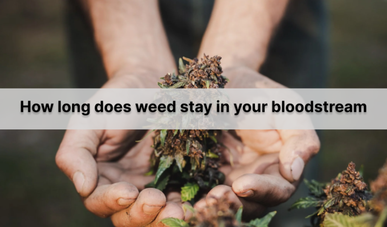 how long does weed stay in your blood stream