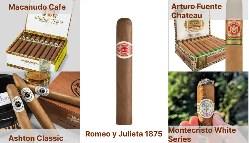 5 Best Cigars for Beginners