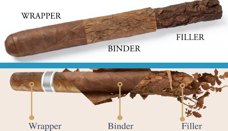 What in a Cigar and Main Three Layers of Cigar: